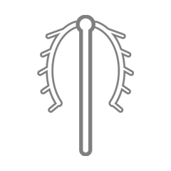 Intrauterine Device - IUD